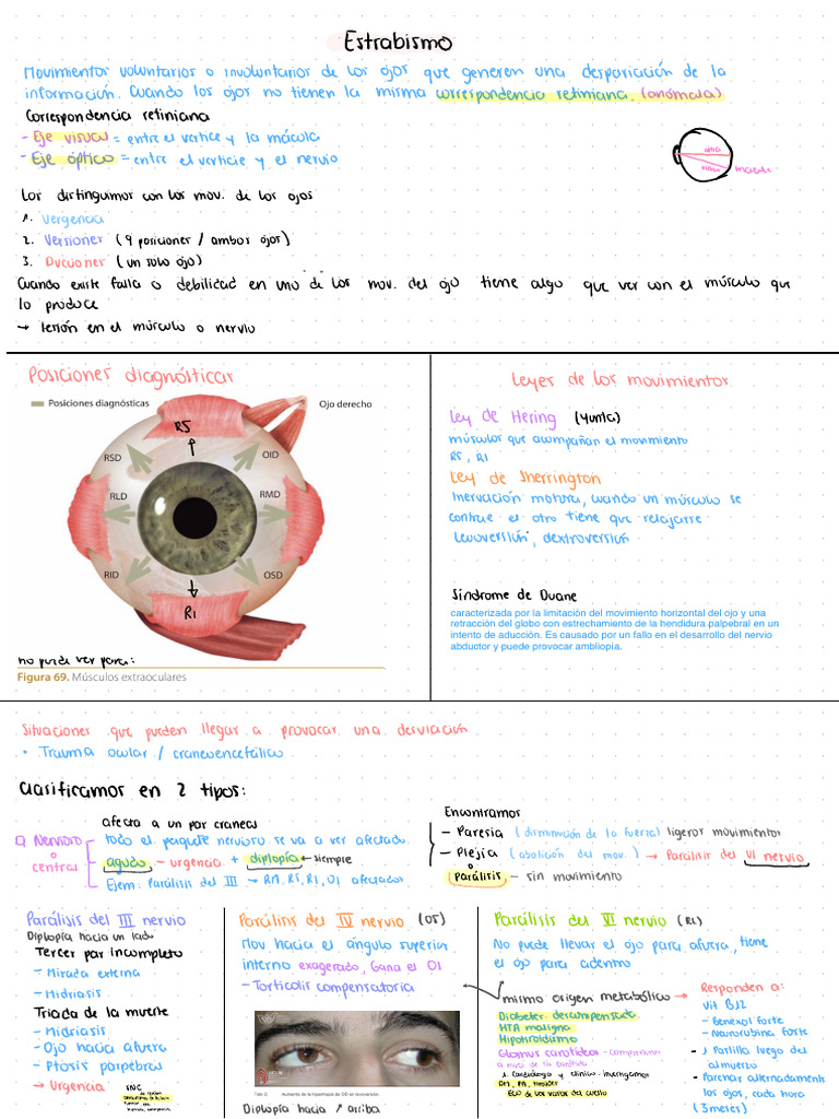 Estrabismo: Diagnóstico y Tratamiento | PDF