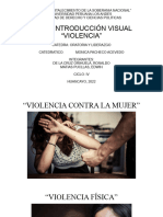 Introducción Visual - Violencia