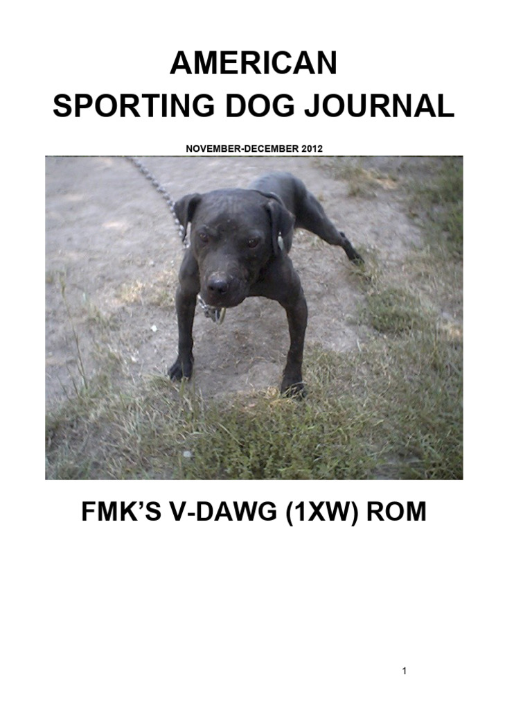American Sporting Dog Journal Nov Dec Get A Free Blog PDF