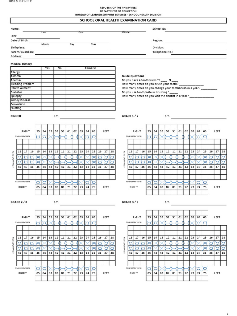 Dental Chart PDF