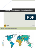 T1 - Células Estaminais