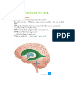 05 - CSF + Ventricles - DR Najeeb Videos