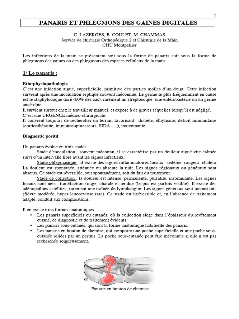 Panaris Et Phlegmons | PDF