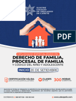 Brochure Diplomado Derecho de Familia