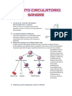 Aparato Circulatorio - Sangre