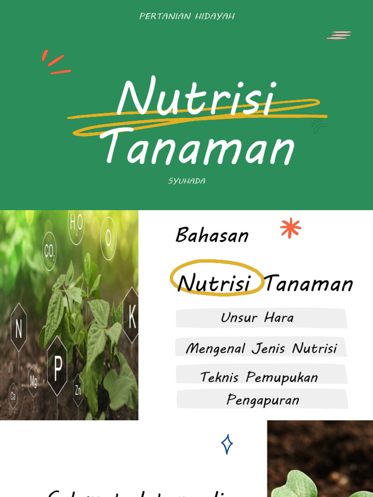 Nutrisi Tanaman Pdf