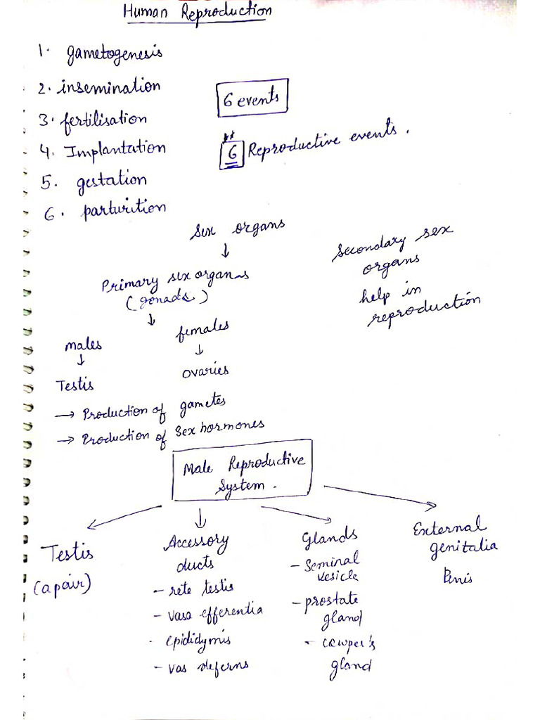 Human Reproduction | PDF