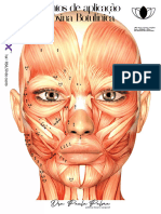 Pontos de Botox 2