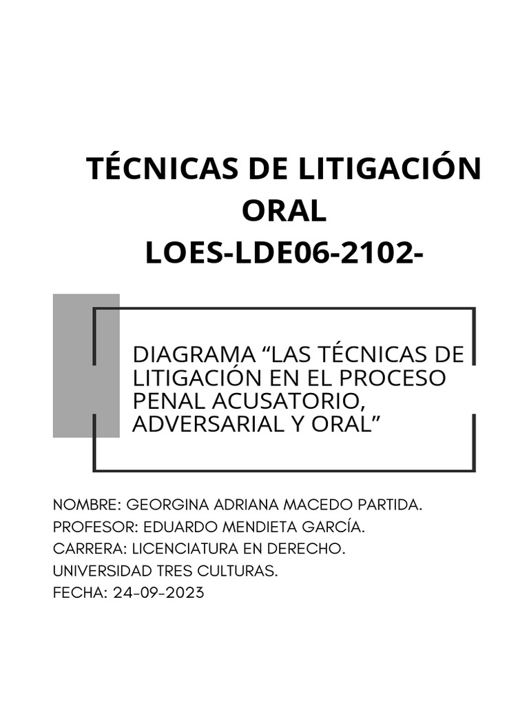 Diagrama Proceso Penal Acusatorio, Adversarial y Oral | PDF