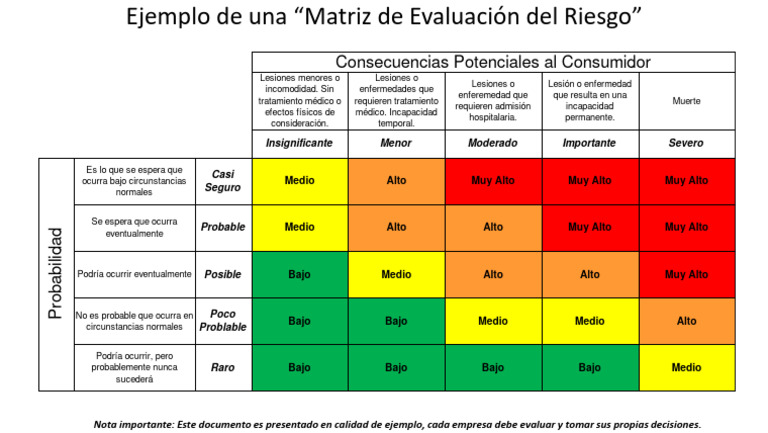 Ejemplo de Matriz de Riesgos | PDF | Cuidado de la salud | Salud pública