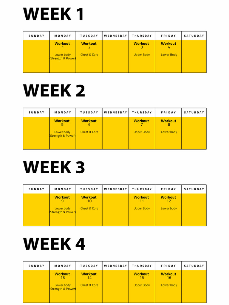 BJJ Strength and Conditioning Program | PDF