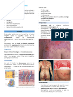 Enfermedades Ampollares