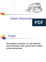 materi sistem pencernaan pada manusia