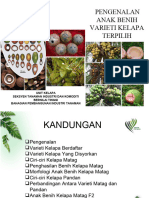 2 - Pengenalan Varieti Kelapa