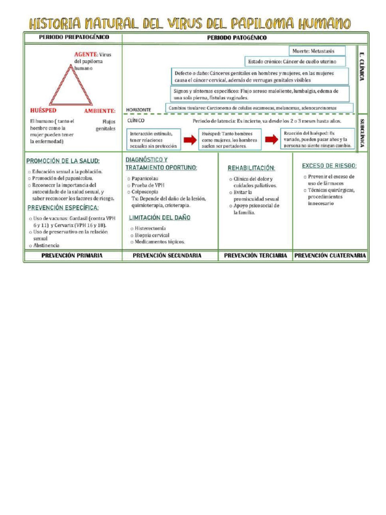 VPH | PDF
