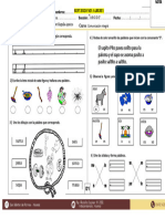 FICHA DE APLICACION Consonante S