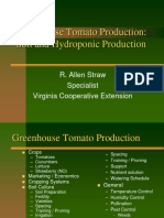 Greenhouse Tomato Production-Straw