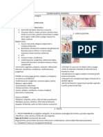 EXAMEN GENITAL FEMENINO Notas de Estudio