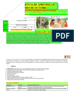 Eda 1° y 2° Grado Octubre. Tejidos Con Fibras