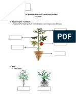Lembar Kerja Akar