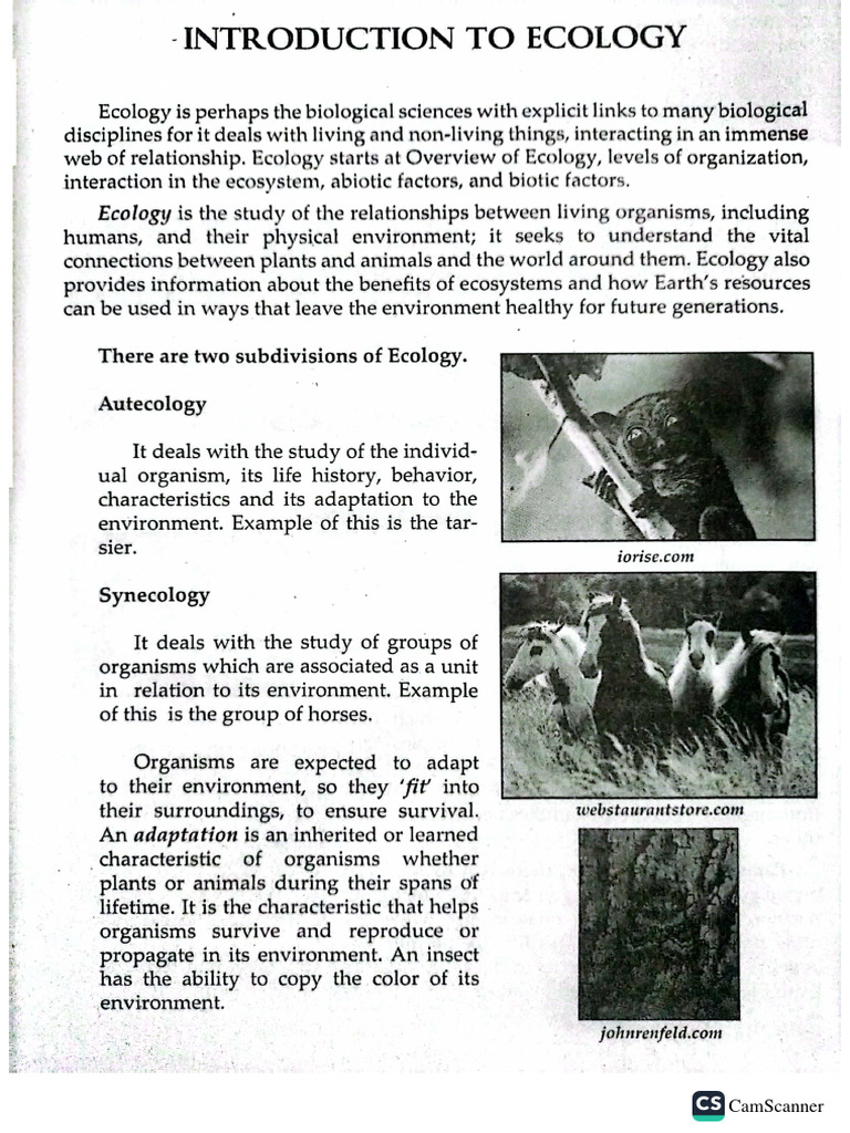 Lesson2 Environmental Science PDF