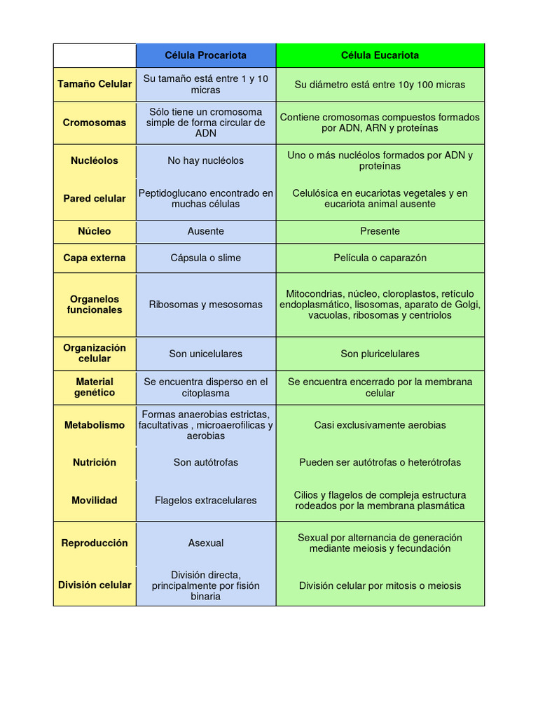 Comparativa de Células: Procariotas y Eucariotas | PDF | Ciencia y ...