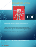 Sistema Circulatorio ?