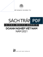 01-Sach-trang-DNVN-2021-phan-tich