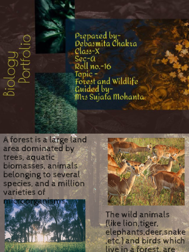 Forests and Wildlife Conservation Guide | PDF | Science & Mathematics ...