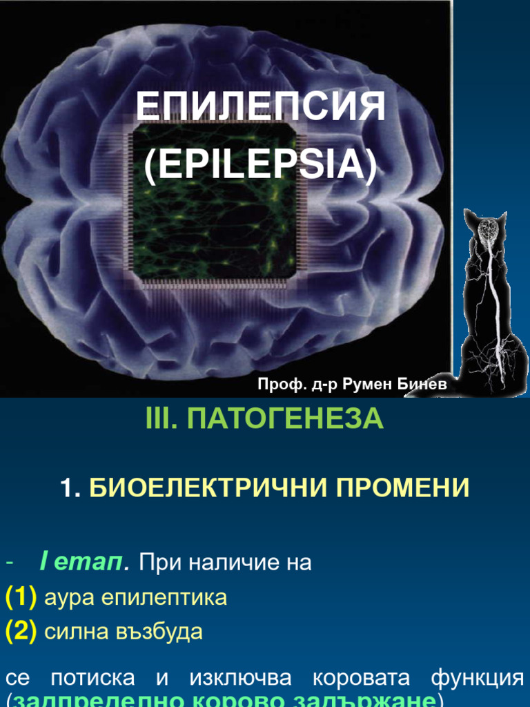 лекция епилепсия | PDF