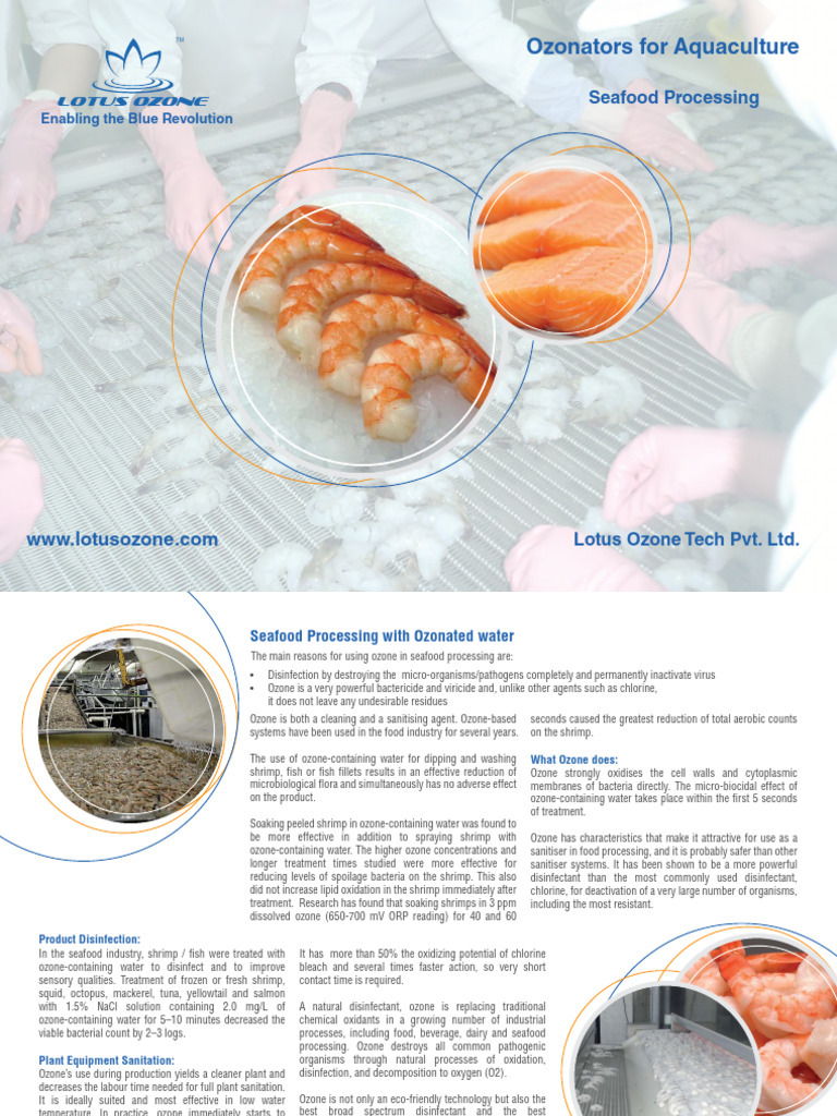 Ozone Disinfection for Seafood Processing | PDF | Science & Mathematics