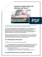 Quels Sont Les Risques Liés À La Pollution de L