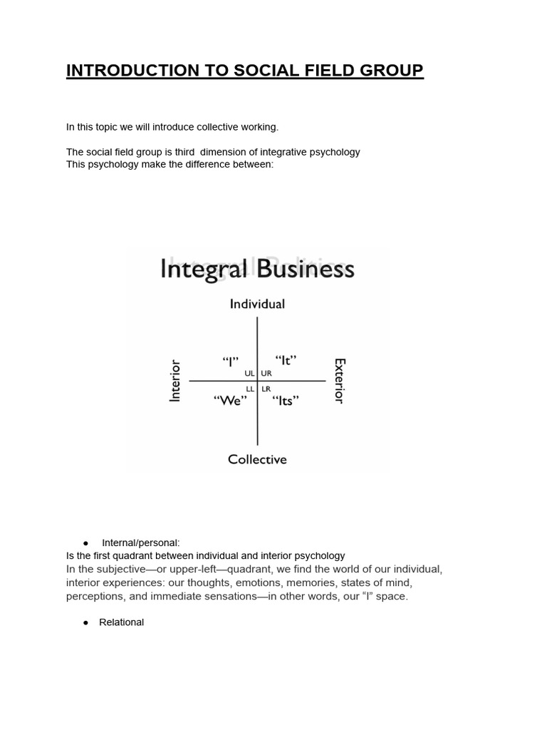 2 Introduction To Social Field Group PDF