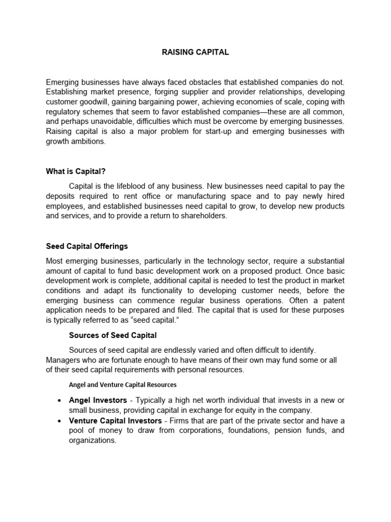 Raising capital pdf