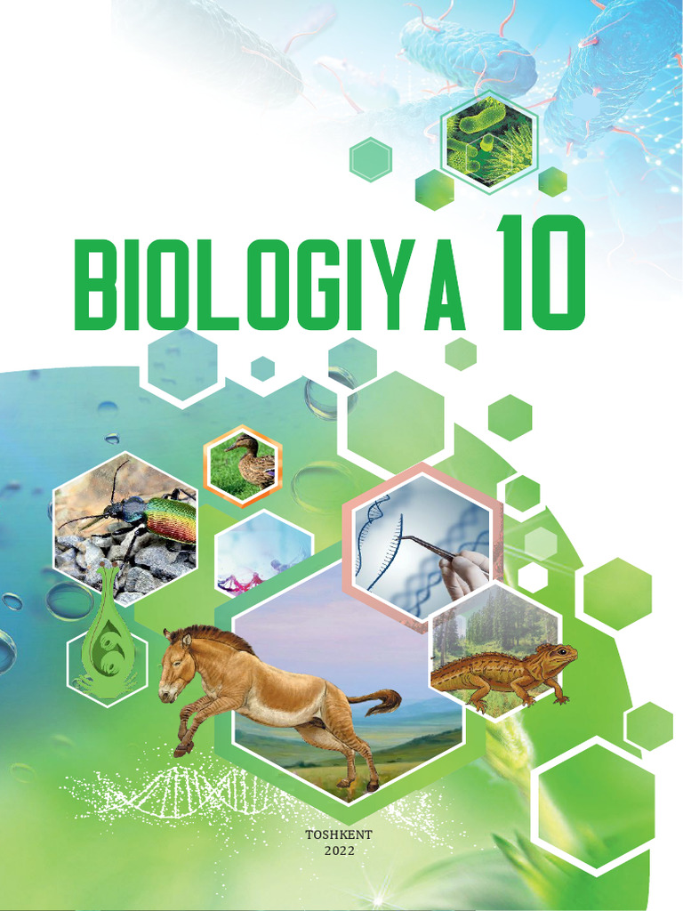 Ikki yosh rus ayol jinsiy olatni birinchi marta kordi.