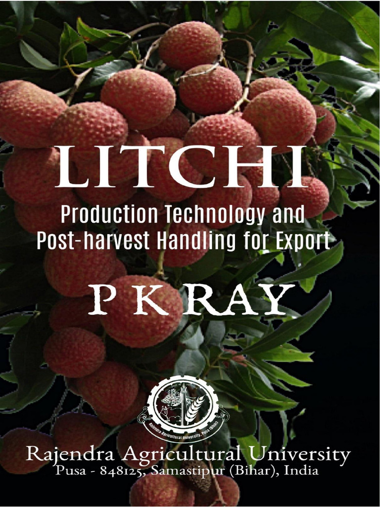 Litchi Cultivation and Export Guide | PDF