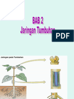 Bab 2