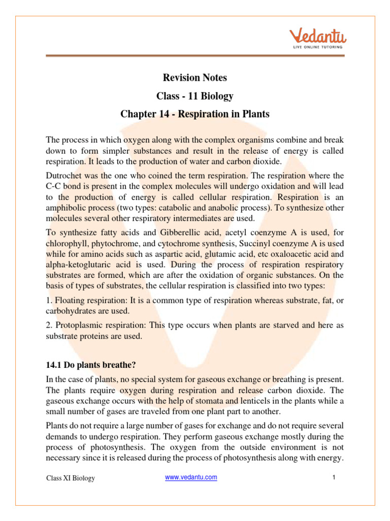 Respiration (physiology) intelligence overview