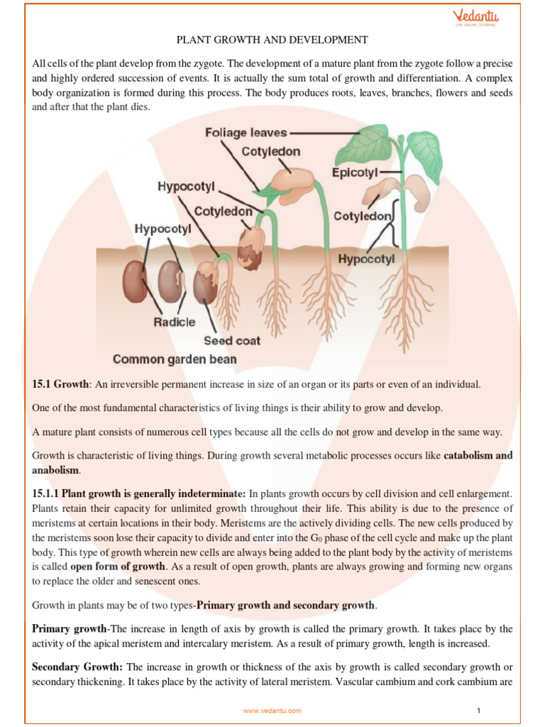 Plant Growth and Development Class 11 Notes CBSE Biology Chapter 15 ...