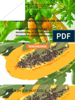 Plagas y Enfermedades de La Papaya