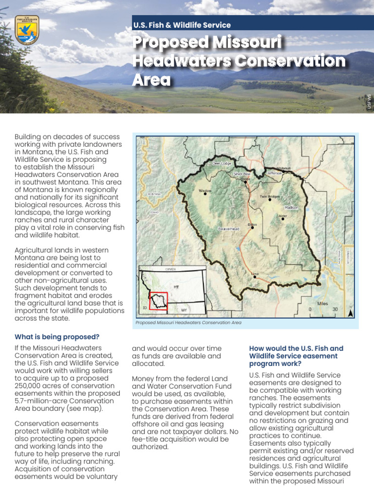 Mhca | PDF