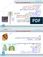 1566654651 - 1-1البنية الخارجية للجهاز العصبي-درس