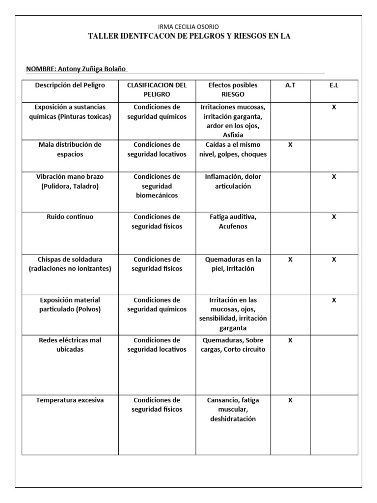 Riesgos y Seguridad en el Trabajo | PDF