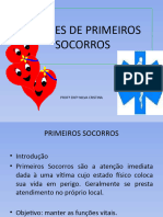 NOÇÕES DE PRIMEIROS SOCORROS - Sipat Branco Peres