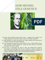 Gregor Mendel - Parintele Ereditatii