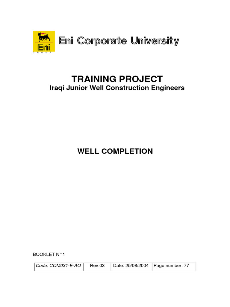 Well completion-ENI-1 | PDF | Casing (Borehole) | Pipe (Fluid Conveyance)