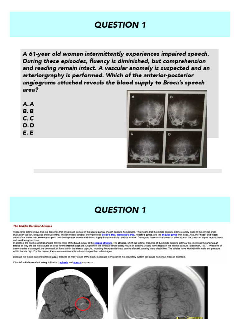 Umiami Radiology Your Questions Answered And More - 4yi1352