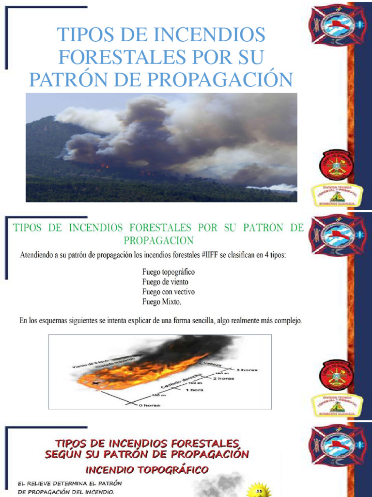 TIPOS DE INCENDIOS FORESTALES POR SU PATRÓN | PDF