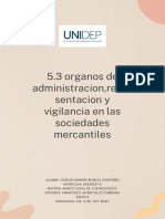 5.3 Organos de Administracion, Representacion y Vigilancia en Las Sociedades Mercantiles