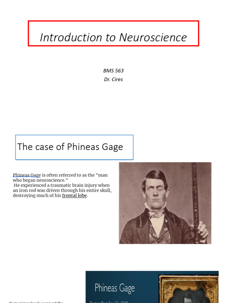 Introduction to neuroscience pdf